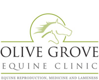 Olive Grove Equine Clinic Olive Grove Equine Clinic